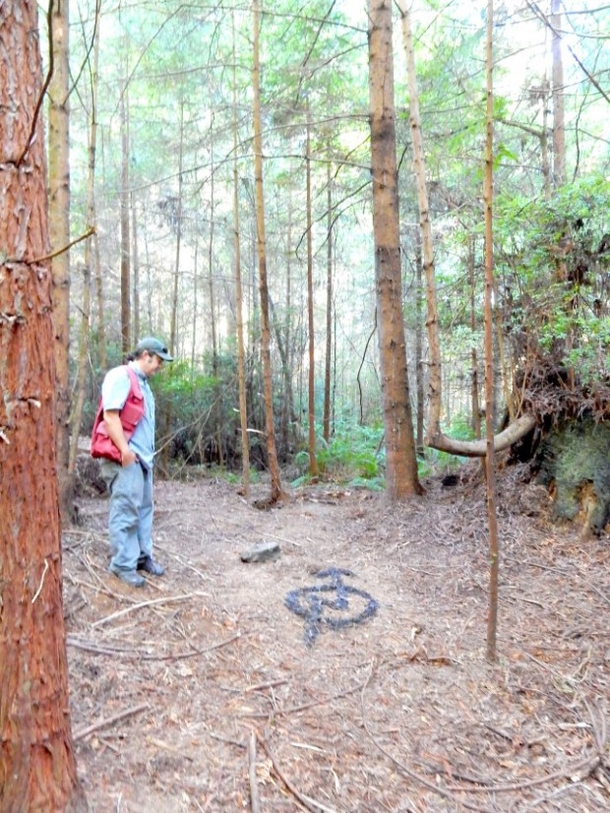 PICS: Forest Ranger Spots Hidden Cabin In Woods, Finds Creepy Mystery Inside - picture 12