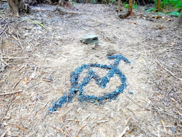 PICS: Forest Ranger Spots Hidden Cabin In Woods, Finds Creepy Mystery Inside - picture 13