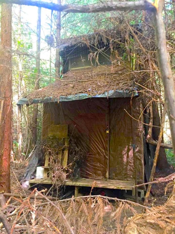 PICS: Forest Ranger Spots Hidden Cabin In Woods, Finds Creepy Mystery Inside - picture 3