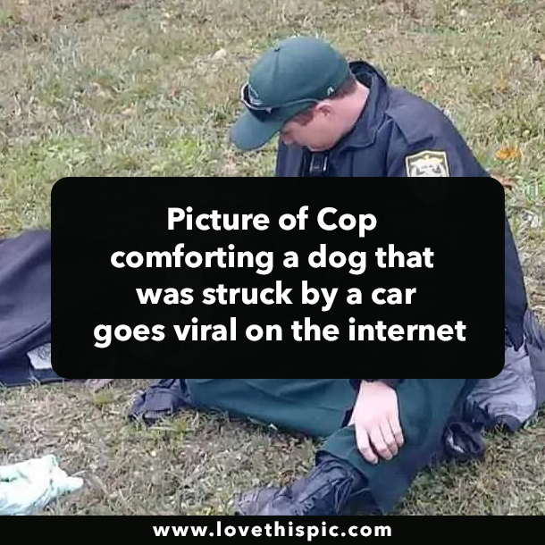 Picture of Cop comforting a dog that was struck by a car goes viral on the internet