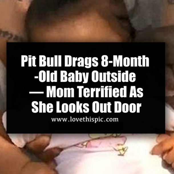 Pit Bull Drags 8-Month-Old Baby Outside — Mom Terrified As She Looks Out Door