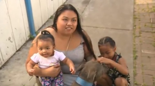 Pit Bull Drags 8-Month-Old Baby Outside — Mom Terrified As She Looks Out Door - picture 3