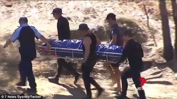 Pit Bull Who Saved Little Boy And Bit Mom Who Threw Him In River Learns His Fate - picture 3