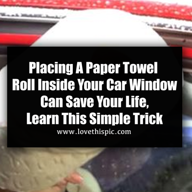 Placing A Paper Towel Roll Inside Your Car Window Can Save Your Life, Learn This Simple Trick
