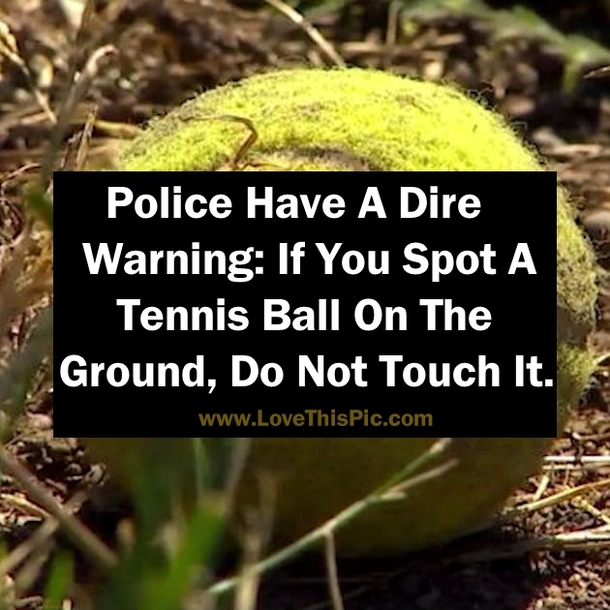 Police Have A Dire Warning: If You Spot A Tennis Ball On The Ground, Do Not Touch It.
