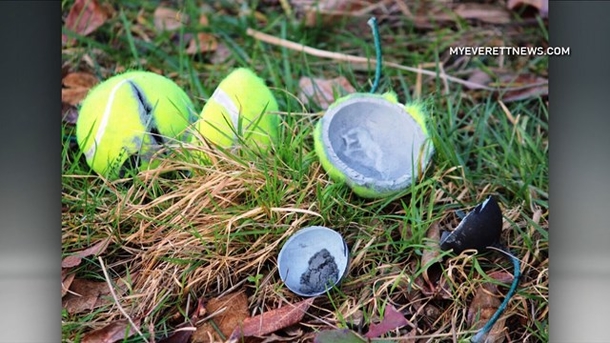 Police Have A Dire Warning: If You Spot A Tennis Ball On The Ground, Do Not Touch It. - picture 2