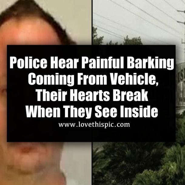Police Hear Painful Barking Coming From Vehicle, Their Hearts Break When They See Inside