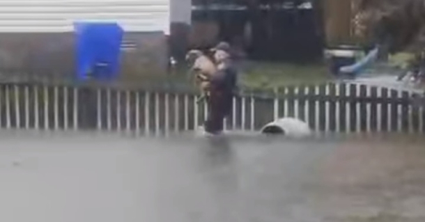 Police Officer's Quick Thinking Saves Pit Bull From Flood Waters - picture 2