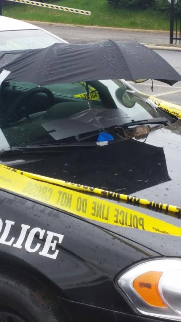 Police Officers Taped A Purple Umbrella To Their Cruiser. The Reason Why Is Incredible - picture 5