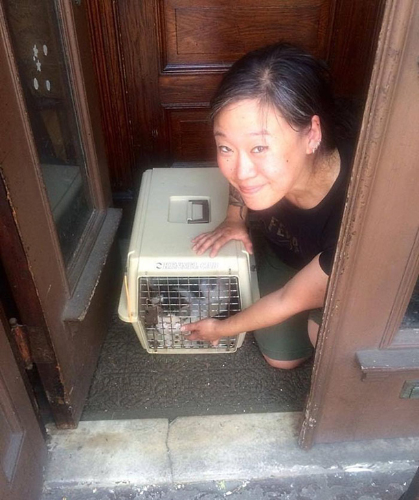 Poor Kitty Is Dumped On The Street With His Litter Until Something Beautiful Happens - picture 3
