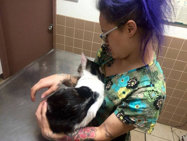 Poor Kitty Is Dumped On The Street With His Litter Until Something Beautiful Happens - picture 5