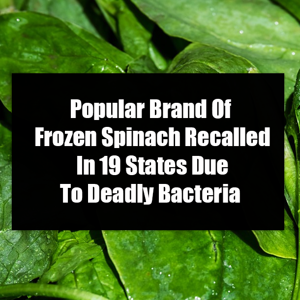 Popular Brand Of Frozen Spinach Recalled In 19 States Due To Deadly Bacteria
