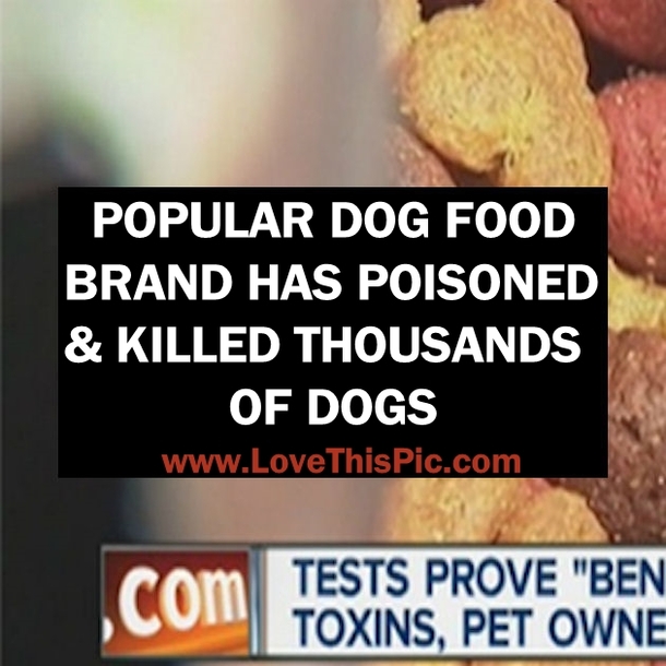 Popular Dog Food Brand Has Poisoned And Killed Thousands Of Dogs