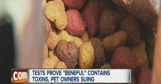 Popular Dog Food Brand Has Poisoned And Killed Thousands Of Dogs - picture 2