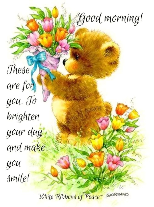 Positive Vibes Only: Good Morning Quotes To Brighten Your Day - picture 2