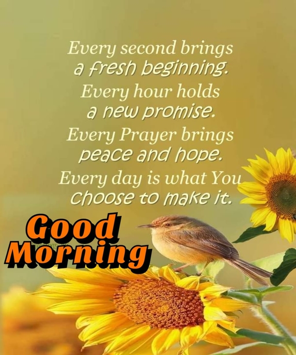 Positive Vibes Only: Good Morning Quotes To Brighten Your Day - picture 4