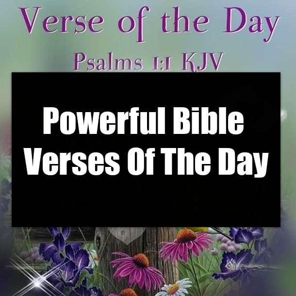 Powerful Bible Verses Of The Day