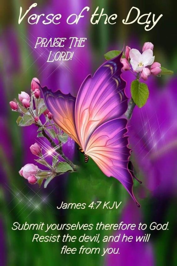 Powerful Bible Verses Of The Day - picture 3