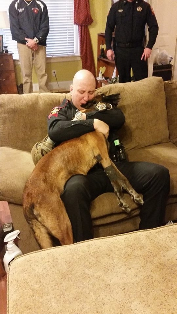 Powerful Photo Shows Cop Saying Goodbye To His K-9 Partner For The Last Time - picture 5