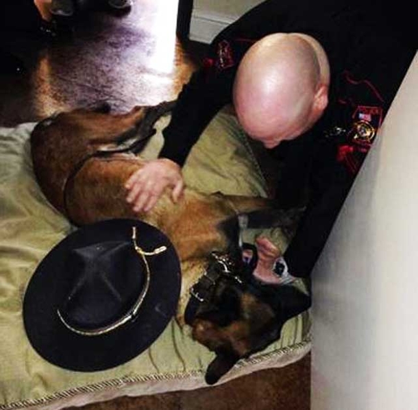 Powerful Photo Shows Cop Saying Goodbye To His K-9 Partner For The Last Time - picture 6