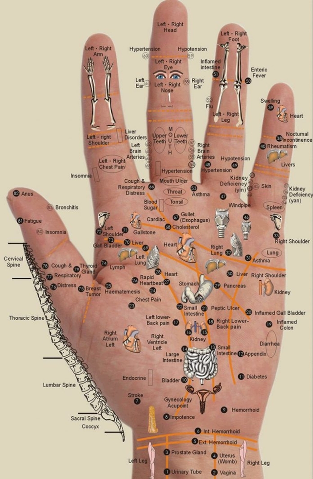 Press These Specific Points On Your Hands And To Get Rid Of Any Body Pain - picture 2
