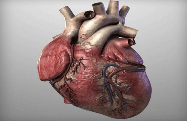 Prevent heart disease – 4 tablespoons of this cure and say goodbye to clogged arteries and high blood pressure! - picture 2