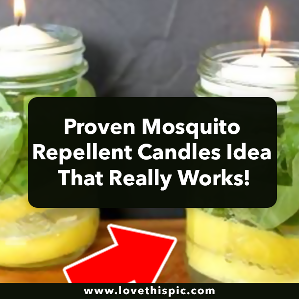 Proven Mosquito Repellent Candles Idea That Really Works!
