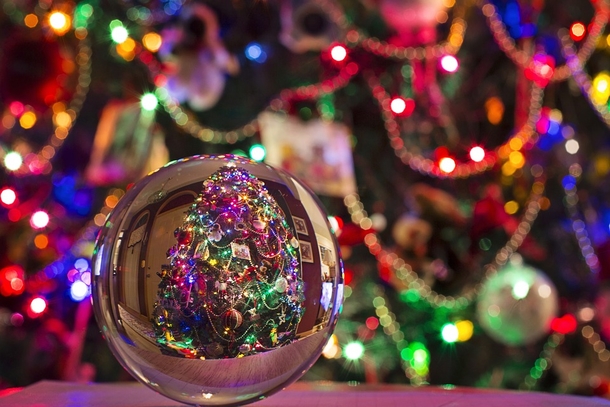 Psychologists Reveal That Decorating For Christmas Early Will Make You Happier - picture 2