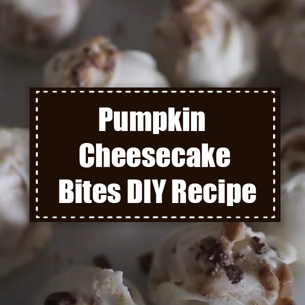Pumpkin Cheesecake Bites DIY Recipe