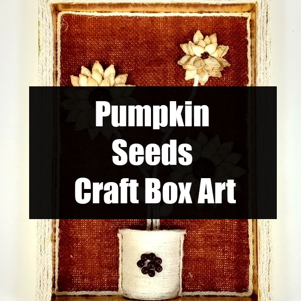 Pumpkin Seeds Craft Box Art