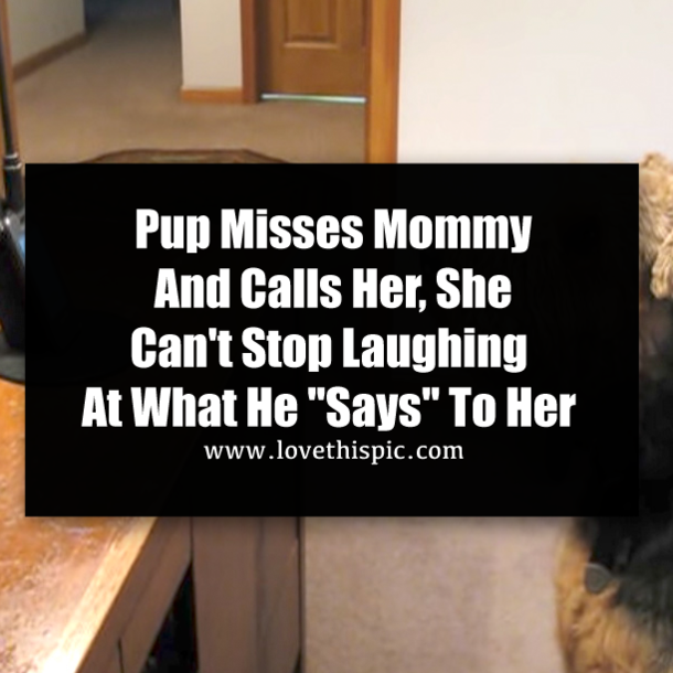Pup Misses Mommy And Calls Her, She Can't Stop Laughing At What He "Says" To Her