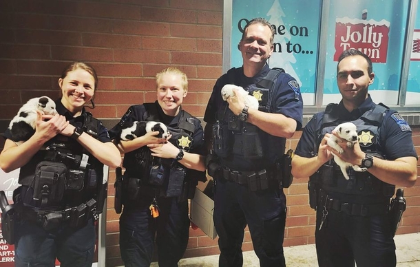 Puppies stuffed in zipped-up bag get adopted by the Cops who saved them - picture 2