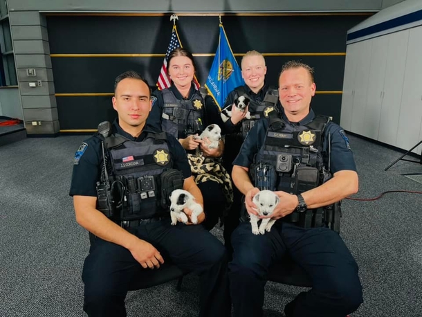 Puppies stuffed in zipped-up bag get adopted by the Cops who saved them - picture 3