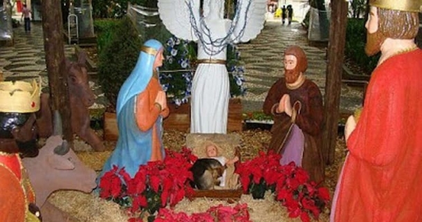 Puppy Sleeps In Nativity Scene Becoming A Christmas Miracle - picture 2