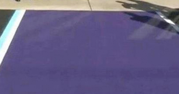 Purple Parking Spot Will Remain As Is, Won't Be Changed For The One Woman Who Was Offended - picture 5