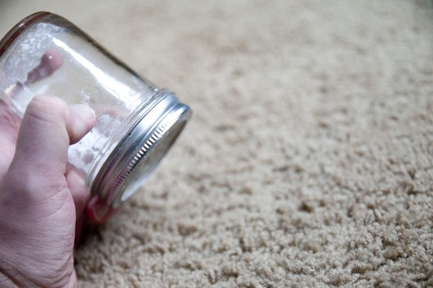 Put borax in your home and say goodbye to fleas, roaches, ants, and other unwanted pests - picture 4