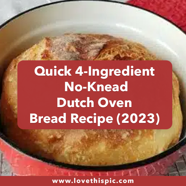 Quick 4-Ingredient No-Knead Dutch Oven Bread Recipe (2023)