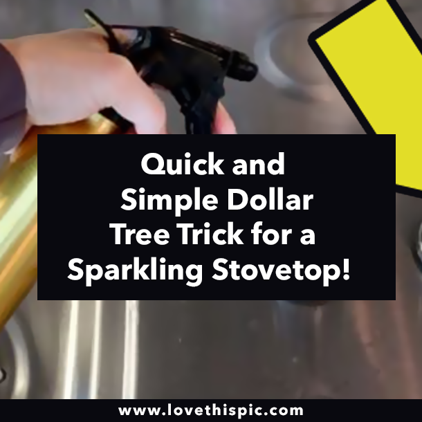 Quick and Simple Dollar Tree Trick for a Sparkling Stovetop!