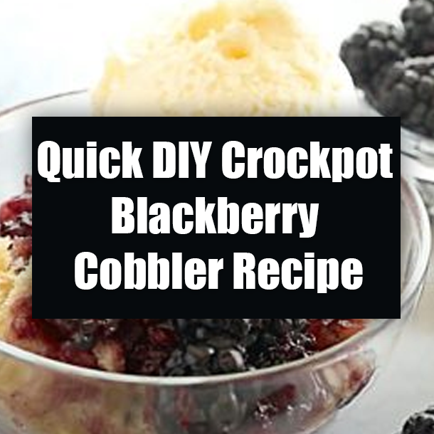 Quick DIY Crockpot Blackberry Cobbler Recipe