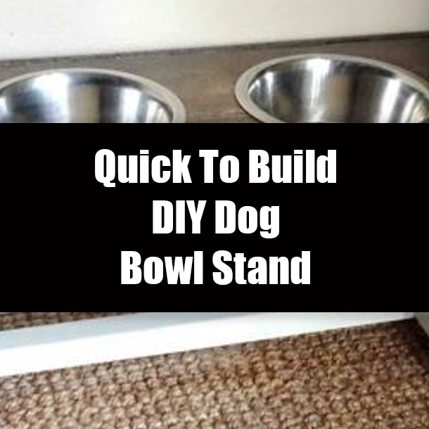 Quick To Build DIY Dog Bowl Stand