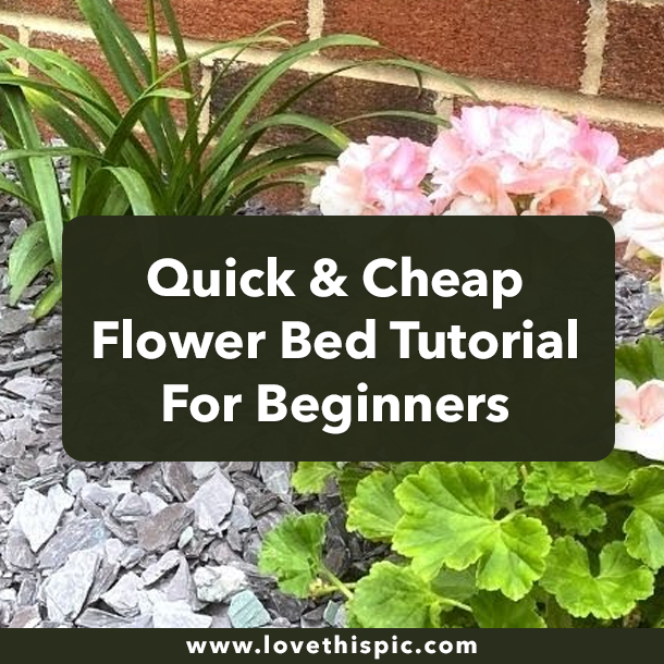 Quick & Cheap Flower Bed Tutorial For Beginners