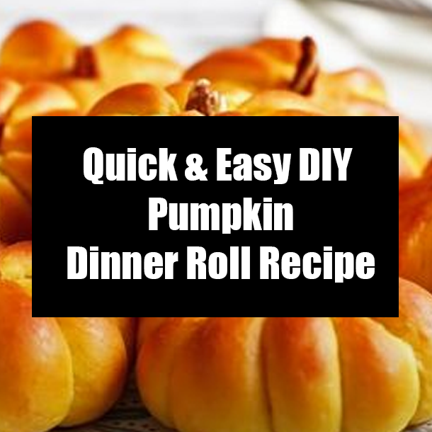 Quick & Easy DIY Pumpkin Dinner Roll Recipe