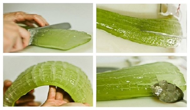 Reasons Why Aloe Vera Is A Miracle Medicine Plant. You Will Never Buy Expensive Products Again! - picture 2