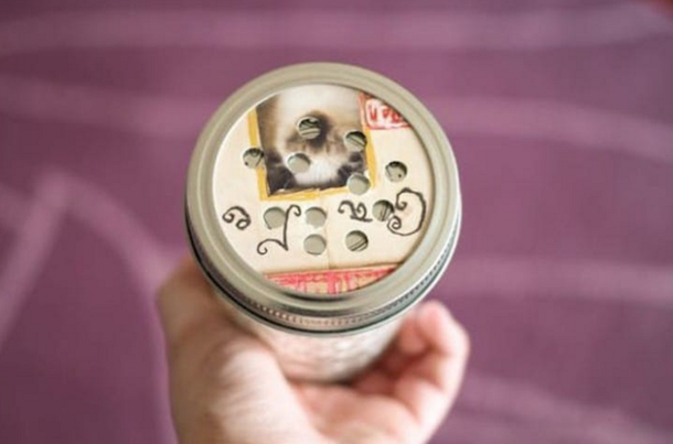 Remove Pet Odors & Smells For Good With This Unique DIY Deodorizer - picture 4