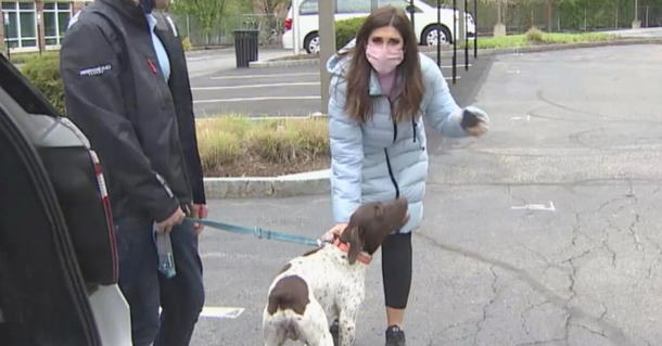 Reporter investigating a stolen dog spots the thief walking it down the street and saves the day - picture 2