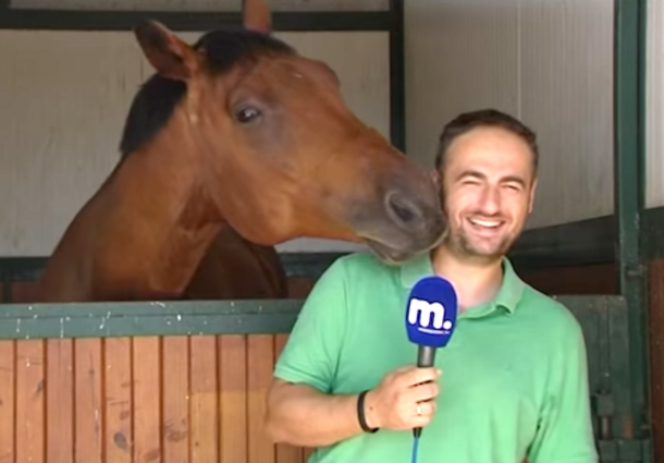 Reporter Steps In Front Of The Camera But The Horse Has The Crew Howling In Laughter - picture 2