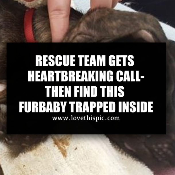 RESCUE TEAM GETS HEARTBREAKING CALL-THEN FIND THIS FURBABY TRAPPED INSIDE