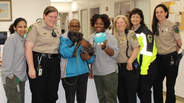 RESCUE TEAM GETS HEARTBREAKING CALL-THEN FIND THIS FURBABY TRAPPED INSIDE - picture 2
