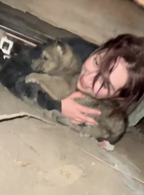 Rescuers Brave Freezing Crawl Space Under Abandoned House for 4 Hours to Save Six Precious Puppies! - picture 3