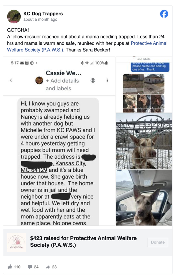 Rescuers Brave Freezing Crawl Space Under Abandoned House for 4 Hours to Save Six Precious Puppies! - picture 4